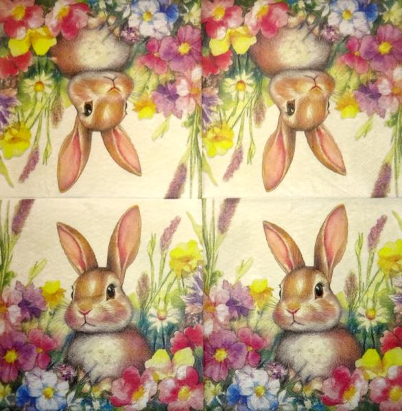 105 Hasen: natürlich - 3-lagig